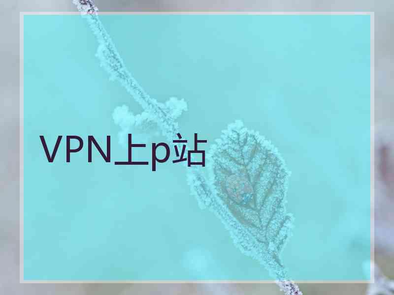 VPN上p站