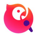 笔记本怎么登谷歌
