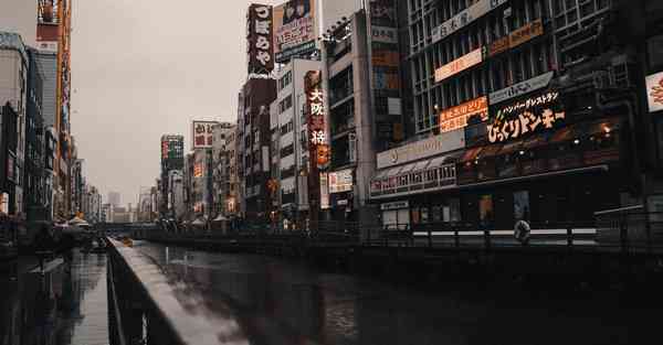 蒲公英app安卓版