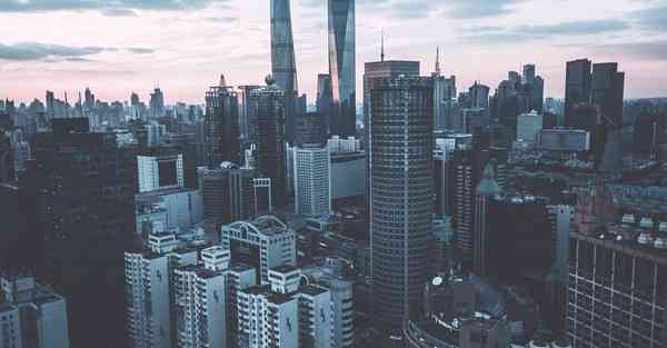 兔子梯子