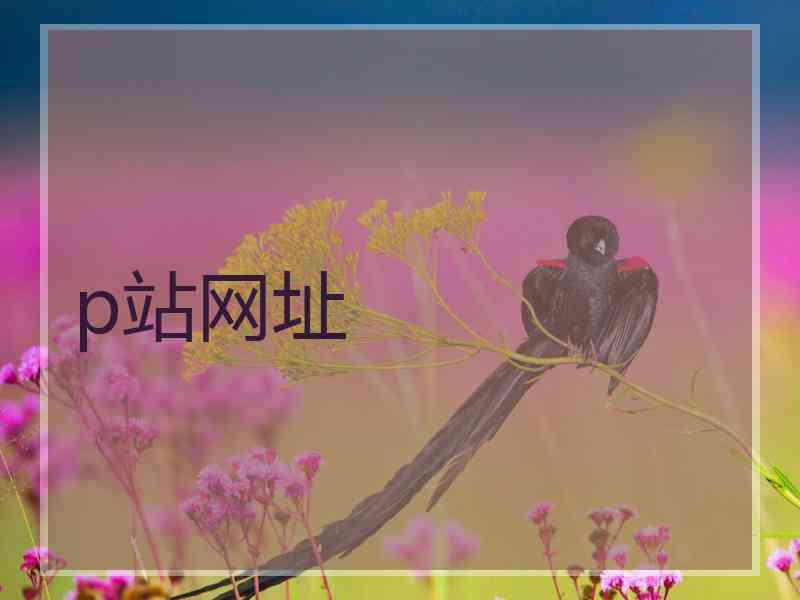 p站网址