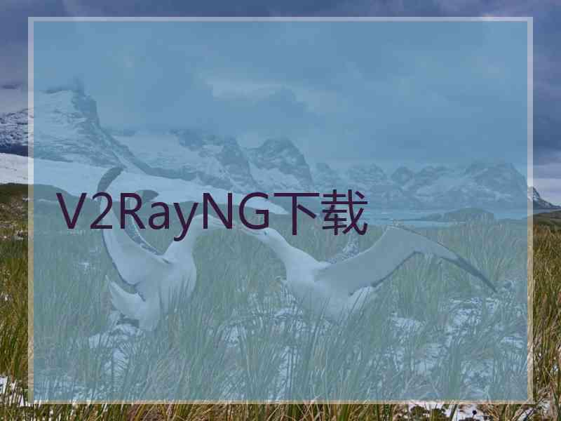 V2RayNG下载