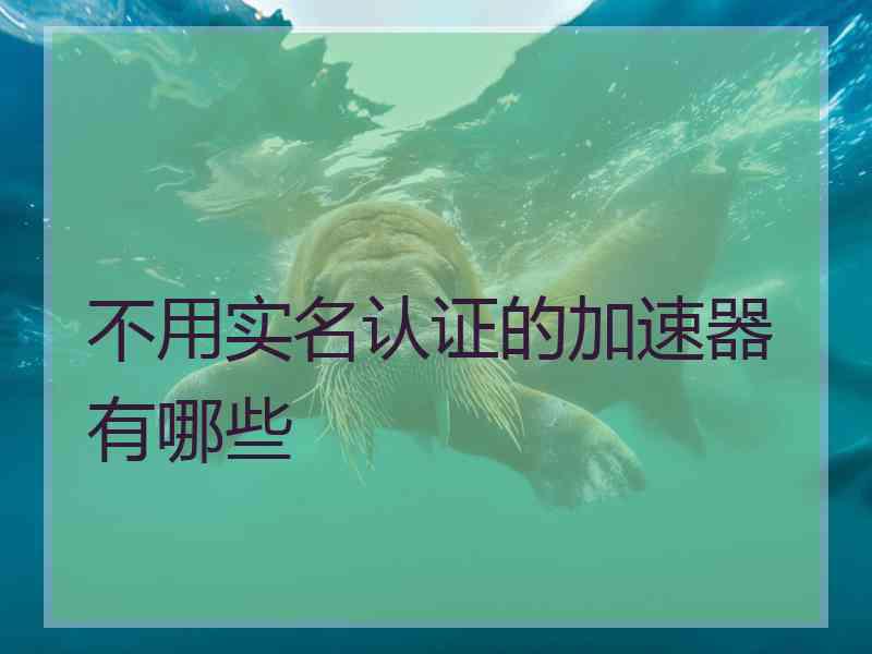 不用实名认证的加速器有哪些