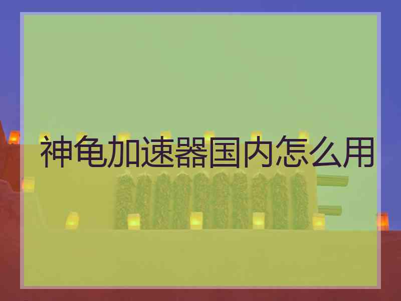 神龟加速器国内怎么用