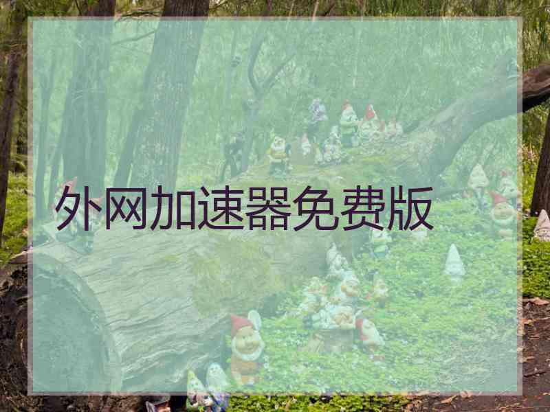 外网加速器免费版