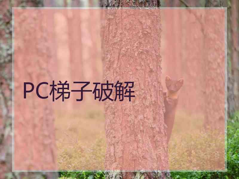 PC梯子破解