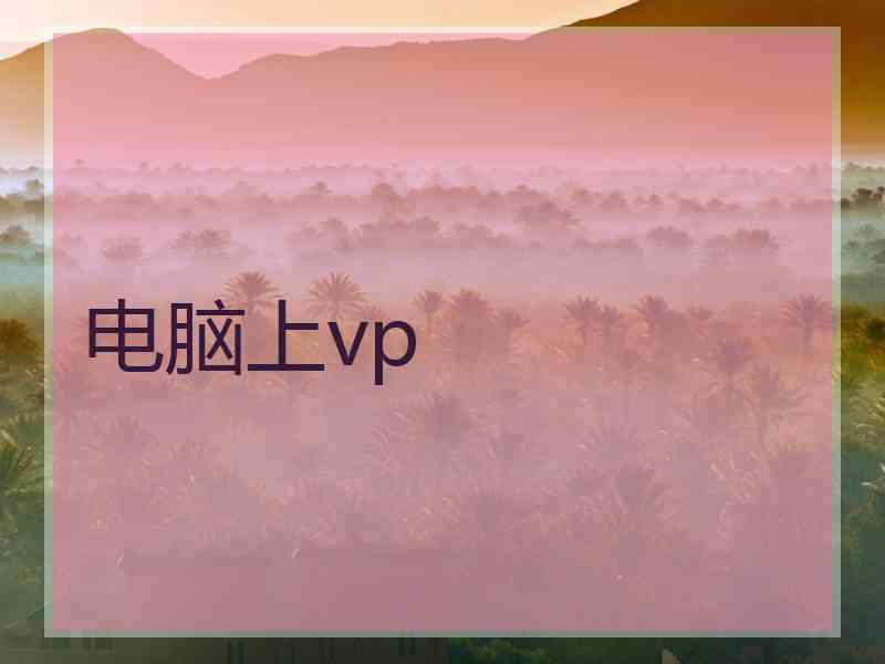 电脑上vp
