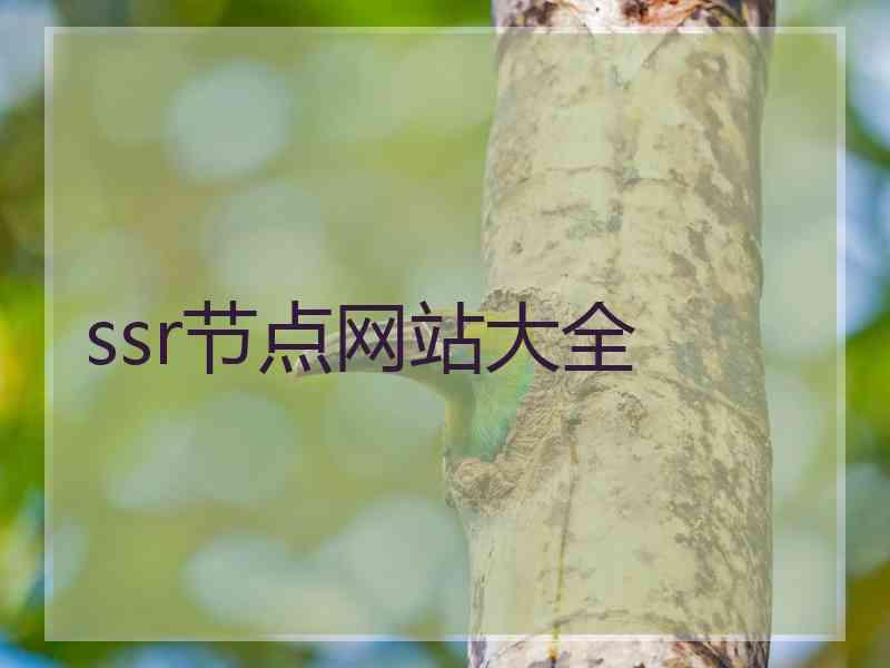 ssr节点网站大全