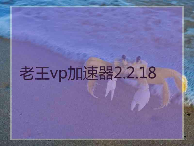 老王vp加速器2.2.18