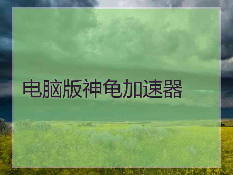 电脑版神龟加速器