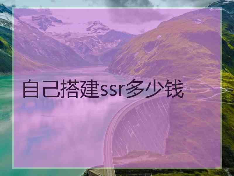 自己搭建ssr多少钱
