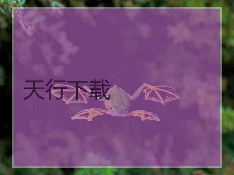 天行下载