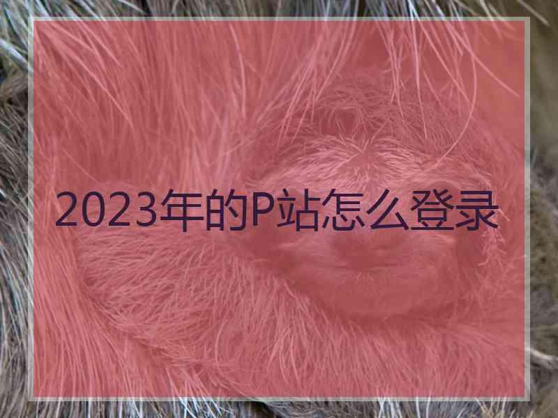 2023年的P站怎么登录