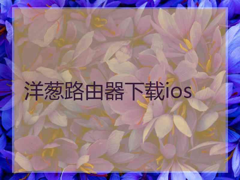 洋葱路由器下载ios