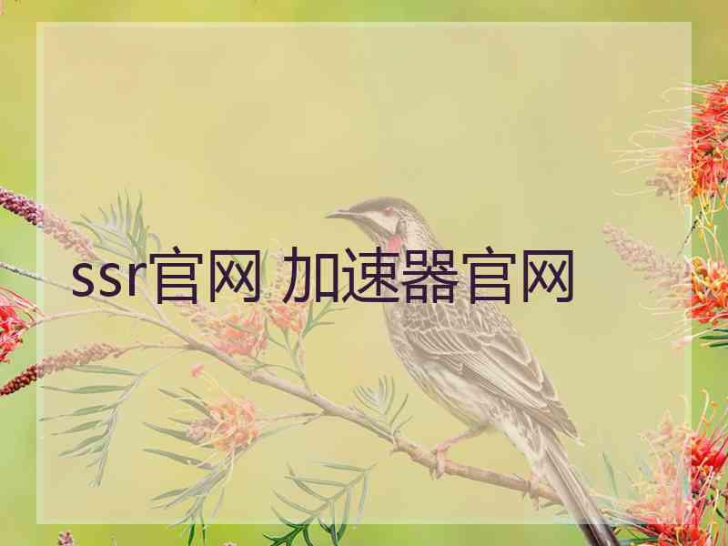 ssr官网 加速器官网