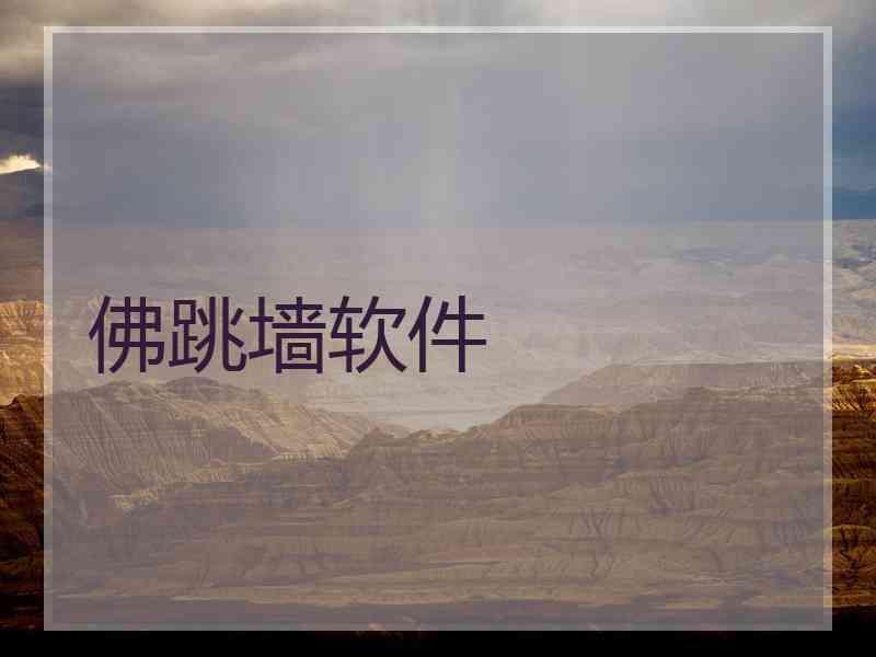 佛跳墙软件