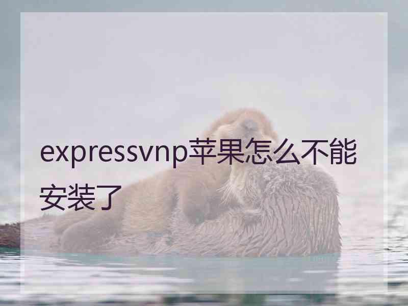 expressvnp苹果怎么不能安装了