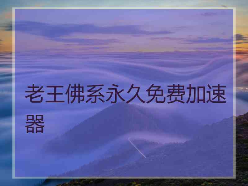 老王佛系永久免费加速器