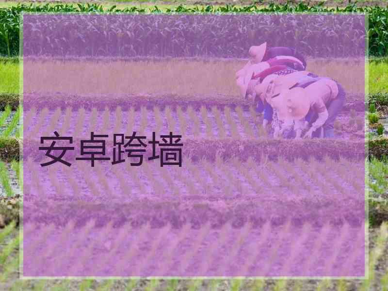 安卓跨墙