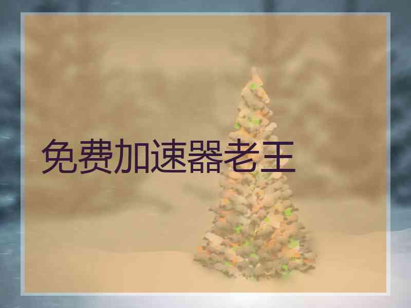 免费加速器老王