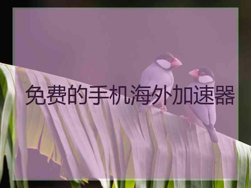 免费的手机海外加速器