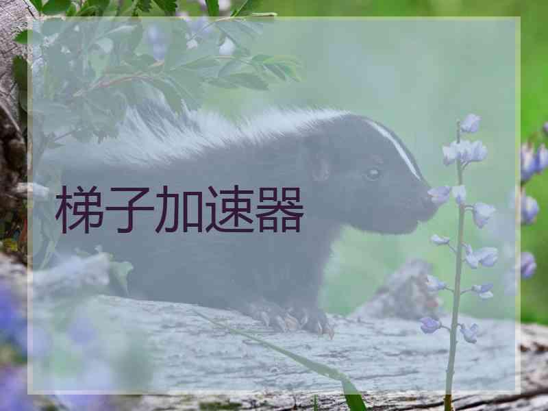 梯子加速器