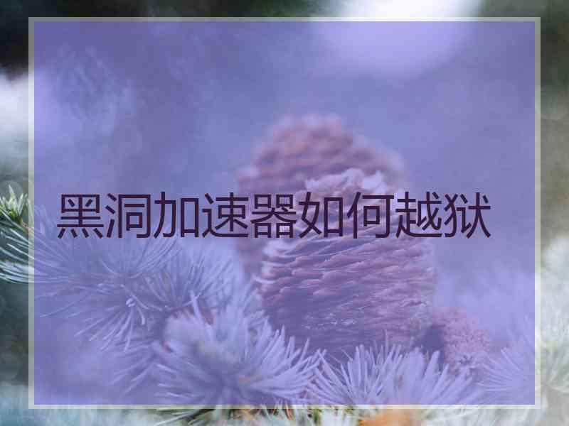 黑洞加速器如何越狱