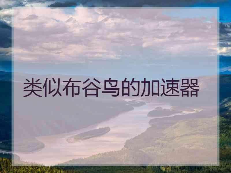 类似布谷鸟的加速器