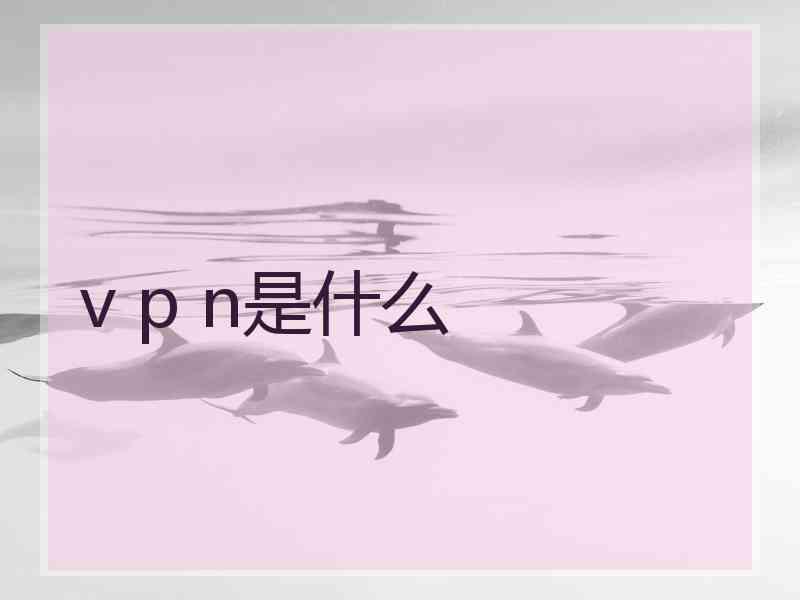 v p n是什么