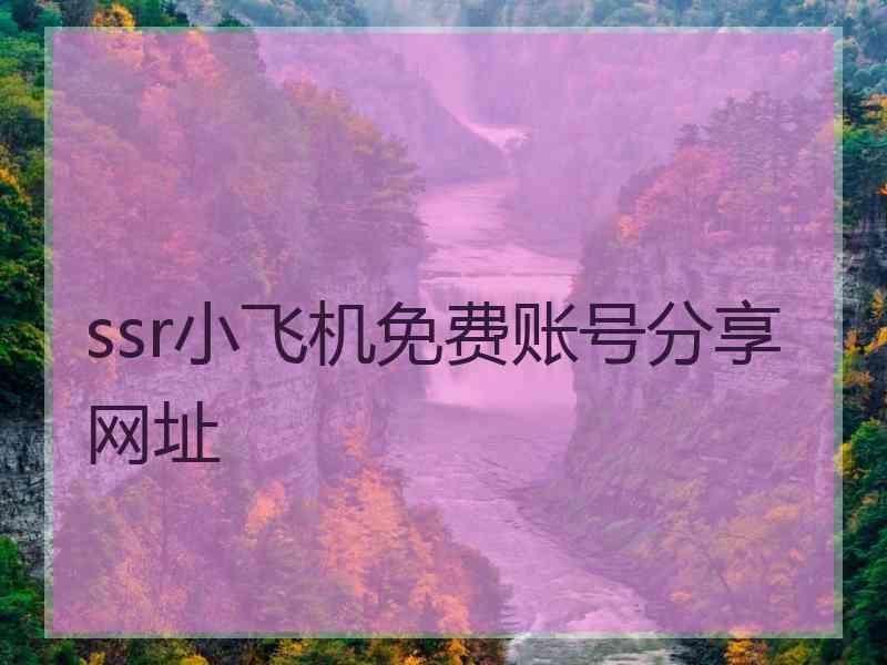 ssr小飞机免费账号分享网址