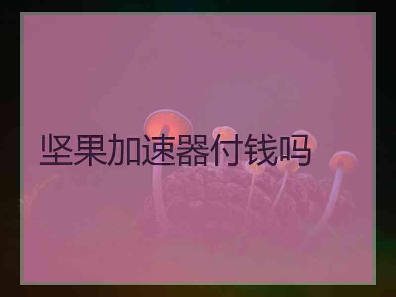 坚果加速器付钱吗