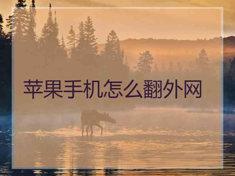 苹果手机怎么翻外网