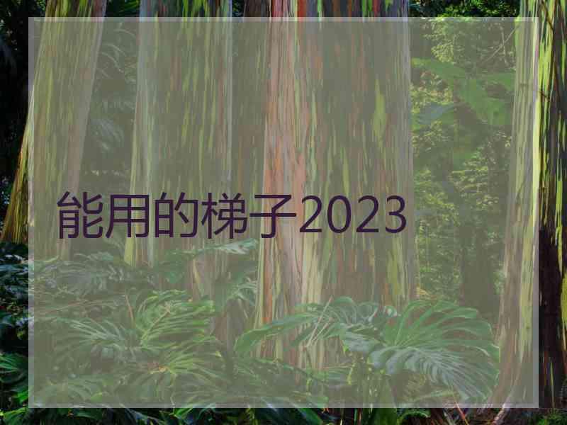 能用的梯子2023
