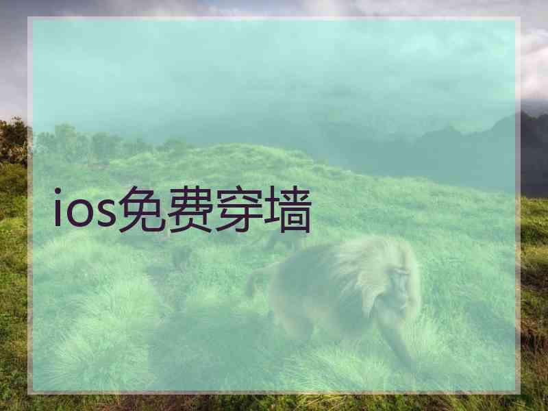 ios免费穿墙