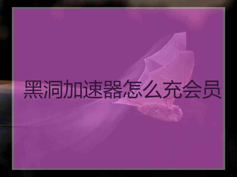 黑洞加速器怎么充会员