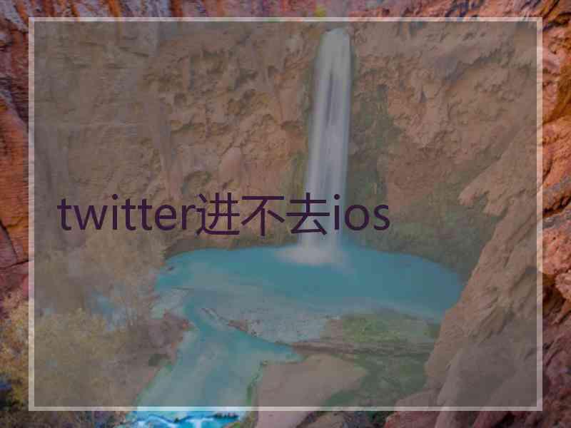 twitter进不去ios