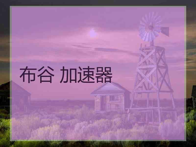 布谷 加速器