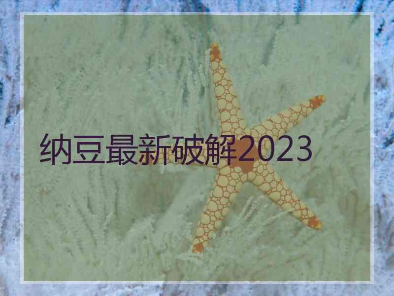 纳豆最新破解2023