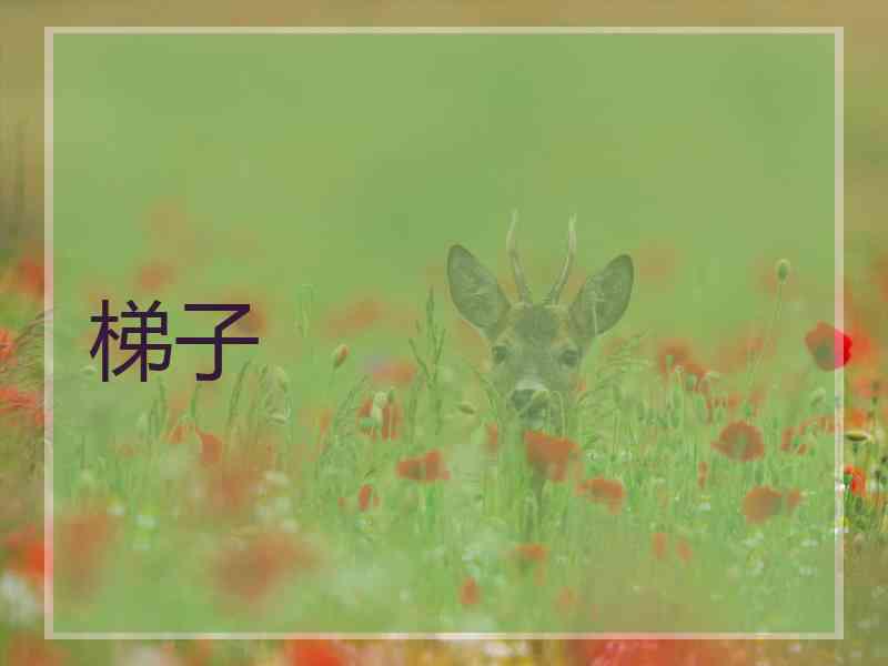 梯子