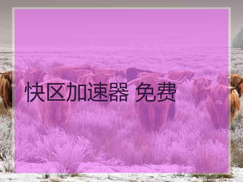 快区加速器 免费