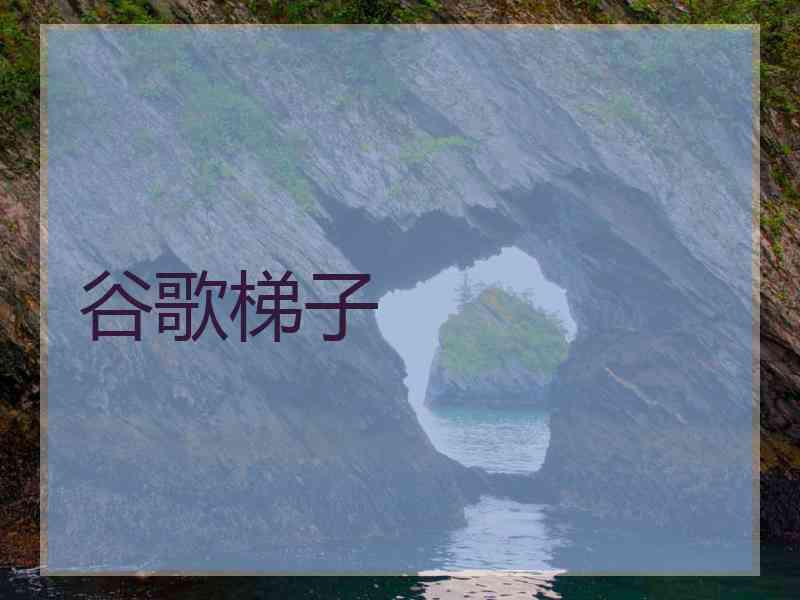 谷歌梯子