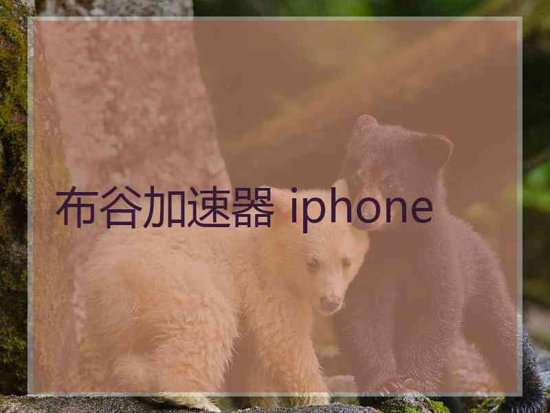 布谷加速器 iphone