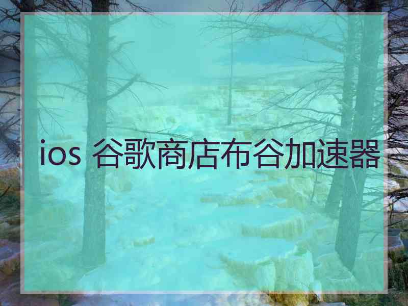 ios 谷歌商店布谷加速器