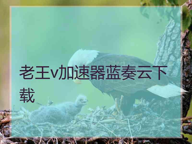老王v加速器蓝奏云下载