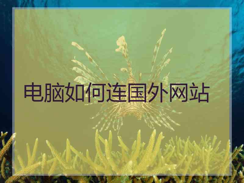 电脑如何连国外网站