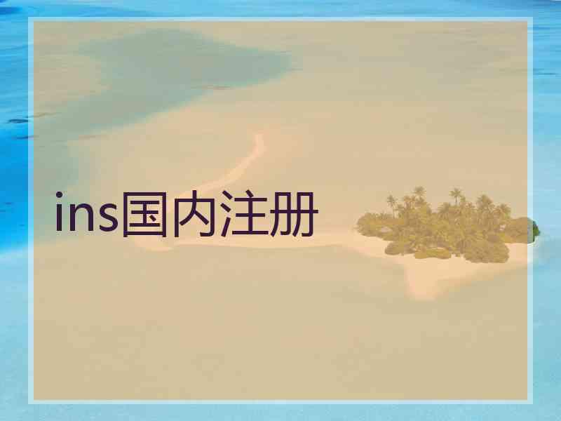 ins国内注册