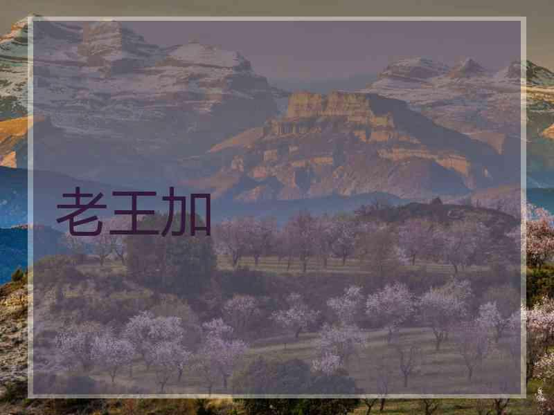 老王加