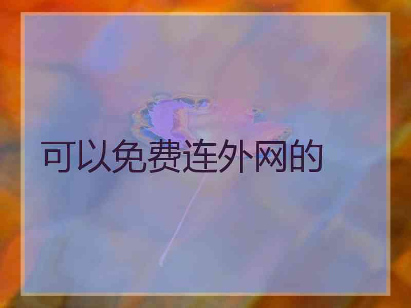 可以免费连外网的