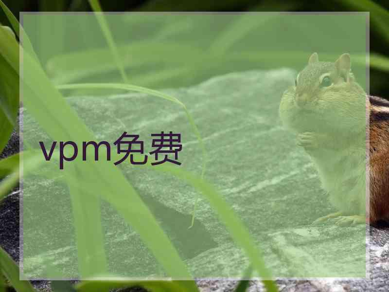 vpm免费