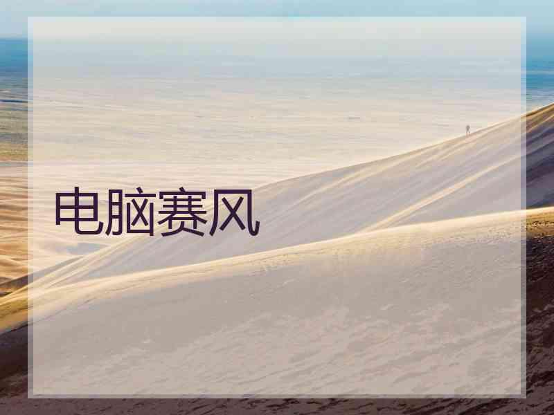 电脑赛风